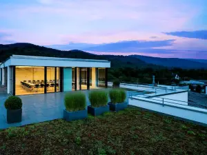 Midori - the Green Guesthouse