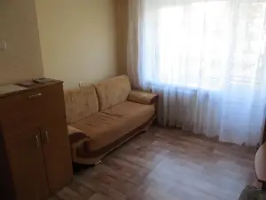 Apartment Skoriny