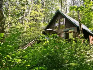 Huckleberry Hideout - One Bedroom Cabin with Hot Tub