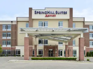 羅穆勒斯底特律都會機場萬豪SpringHill飯店