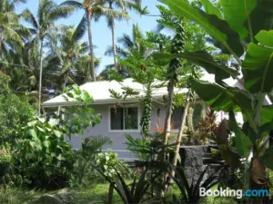 柯伊娜海豚小屋旅館