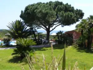 Hôtel les Bouis - Vue Mer