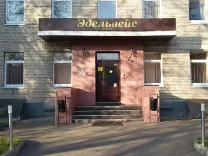 杜布洛夫卡大師飯店