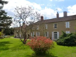 Chartreuse de Dane
