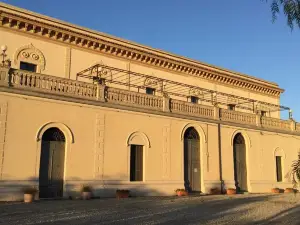 Feudo Vagliasindi -Wine Experience-