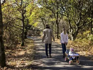 Apelvikens Camping & Cottages