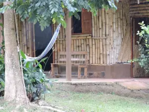Hostal Familiar El Ángel Panamá B&B