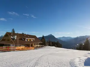 Ualm Untermarkter Alm