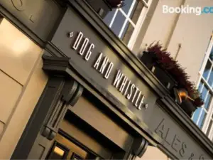 Dog and Whistle Pub