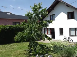Apartments Osijek by the River