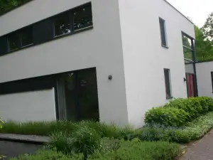 Avellano