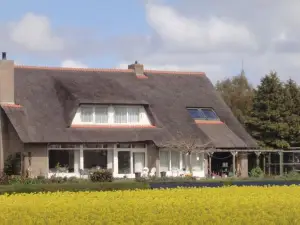 Riethove