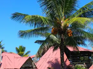 Cabañas la Tortuga