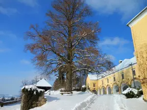 Schatz.Kammer Burg Kreuzen