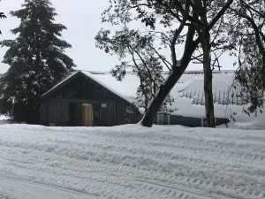 Cooroona Alpine Lodge