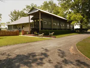 Ashburn Hill Plantation