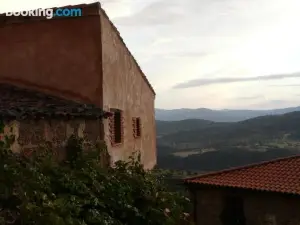 El Nido de La Collalba