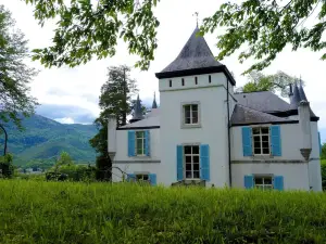 Chateau de Druon