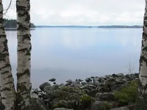 Mäntyniemi