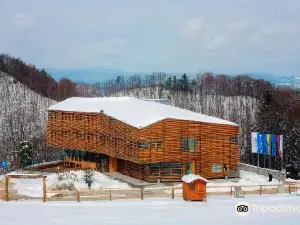 Hotel Celjska Koca