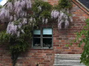 Holly Cottage the Studio