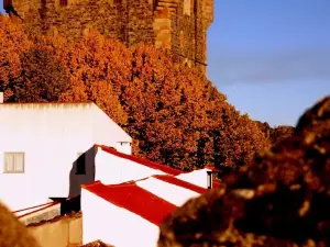 Ninho do Melro - Turismo Rural Braganca