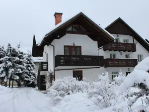 Apartments Na Vasi