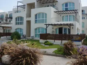 Aphrodite Beachfront Resort Official