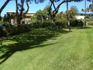 Maui Vista Vacation Condo