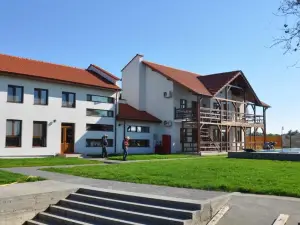 Pensiunea Crisan