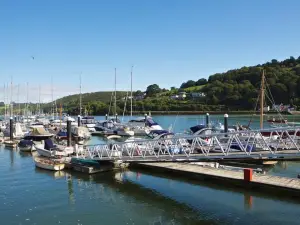 Dart Marina Hotel and Spa