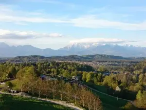 House for Nature Lovers