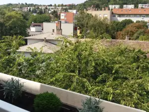Malnas Macska Apartman