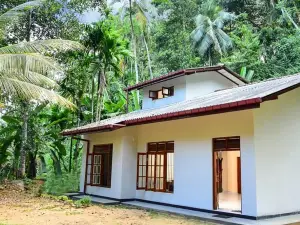 Jungle Village Homestay
