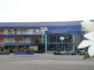 Hotel Olga Lucia