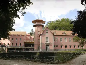 Palace Hotel & Spa - Termas de Sao Vicente
