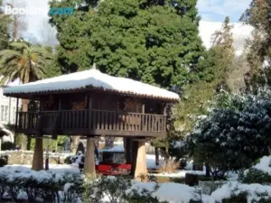 Apartamentos Andrea