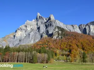 Chalet Narcisse
