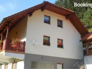 Apartments Savinja