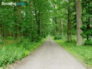 Forest Retreat Near Berlin