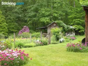 Garden of Eden Cabins