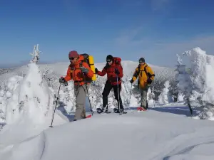 Au Coeur du Village
