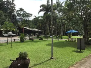 Daintree Siesta