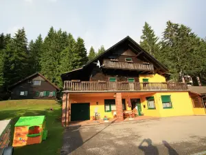 Comfortable Mansion in Wolfsberg Near Ski Area