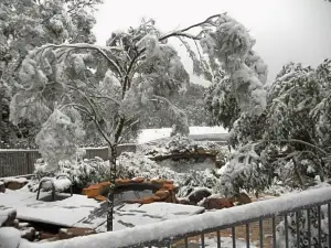Girraween Environmental Lodge