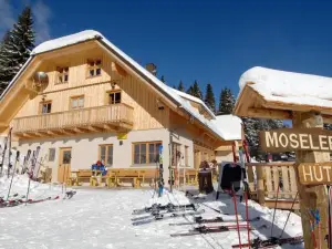 MoselebauerAlm