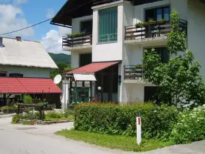 Guest House Raukar