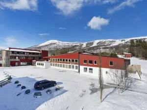 Imi Stølen