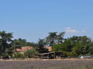 Le Mas de La Chérine