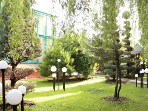Hotel Carpati